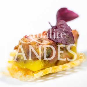 Recette de Petite bouchée de foie gras de Canard Fermier des Landes au Floc de Gascogne et Armagnac, confiture de Kiwi de l'Adour sur sa pomme gaufrette
