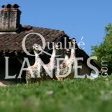 Canards Fermiers des Landes IGP - Label Rouge