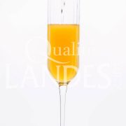 Recette de Cocktail Floc de Gascogne et Champagne