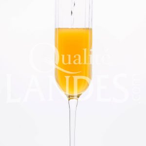Recette de Cocktail Floc de Gascogne et Champagne