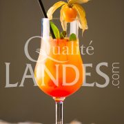 Recette de Cocktail Floc de Gascogne Lou Gascoun