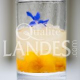 Recette de Granité au Floc de Gascogne et brunoise de pêche
