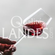 Vin de Tursan AOC