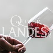 Vin de Tursan AOC