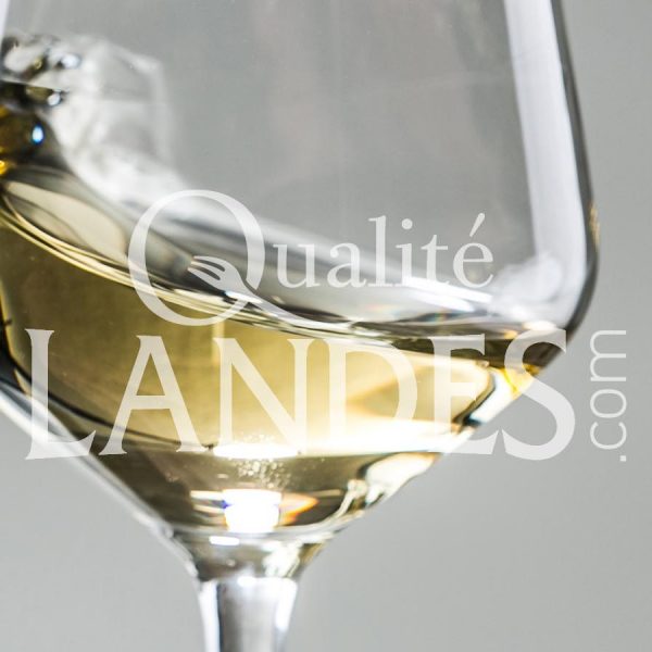 Vin de Tursan AOC