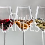 Vin de Tursan AOC