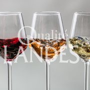 Vin de Tursan AOC