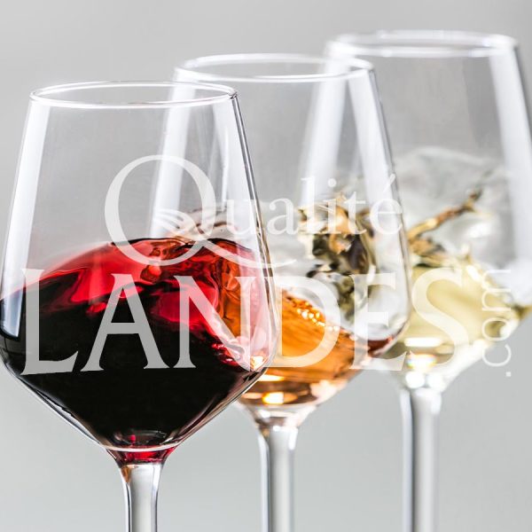 Vin de Tursan AOC Vin de Tursan AOC