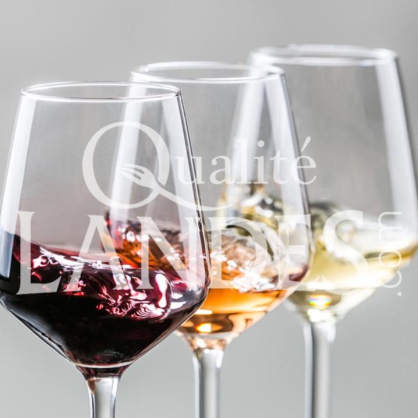 Vin de Tursan AOC Vin de Tursan AOC