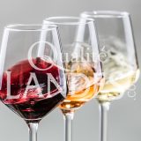 Vin de Tursan AOC