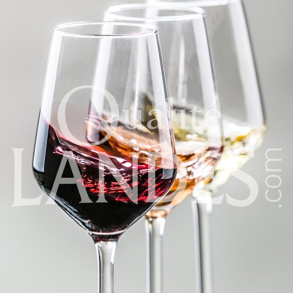 Vin de Tursan AOC Vin de Tursan AOC