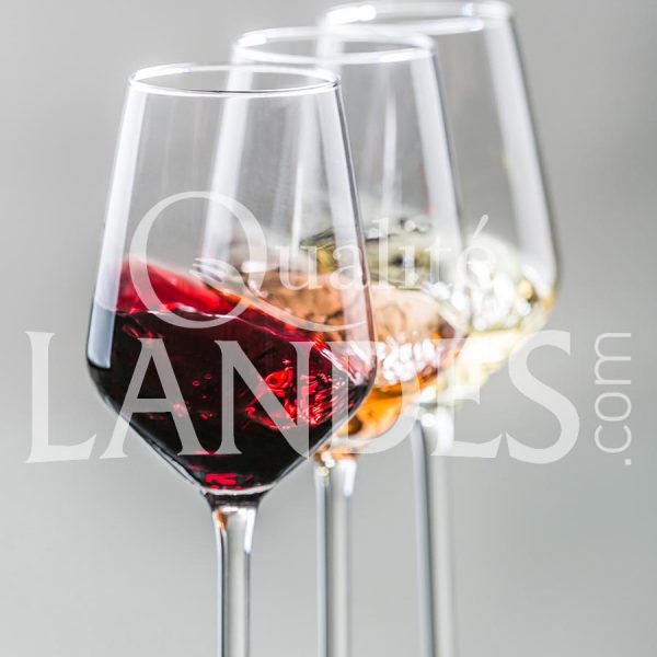Vin de Tursan AOC Vin de Tursan AOC