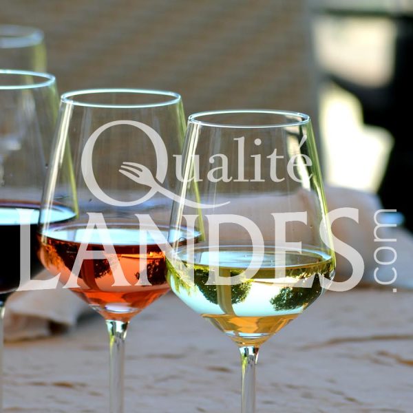 Vin de Tursan AOC Vin de Tursan AOC