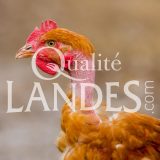 Poulets Fermiers des Landes Blancs IGP - Label Rouge