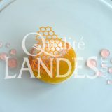 Recette d'Entremets au Floc de Gascogne et à la rhubarbe