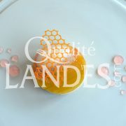 Recette d'Entremets au Floc de Gascogne et à la rhubarbe