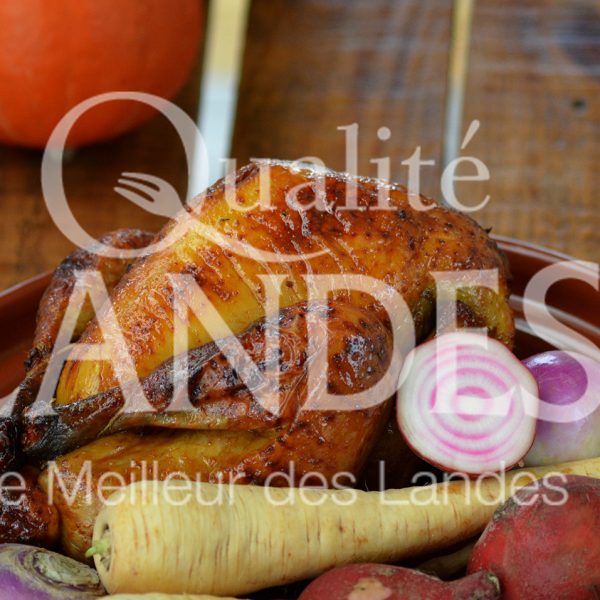 7B613-VOLAILLES